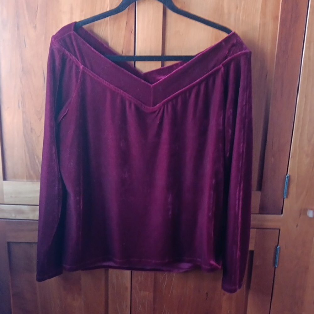 Elegant Velvet Top